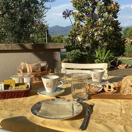 Villa Orsini - A Retreat In Pisa - Food And Relax Exterior photo